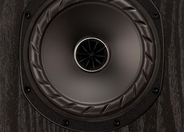 F5E - obrazek 3